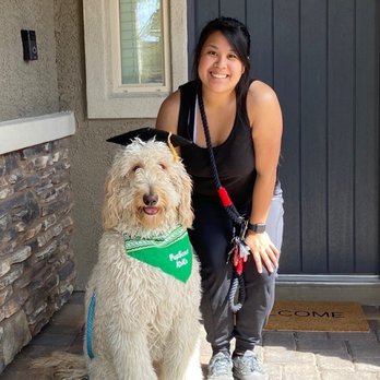 PupScouts Dog Training - KoKo & his Amazing Trainer - Pet Training Near Me PupScouts Dog Training - KoKo & his Amazing Trainer - Pet Training Near Me