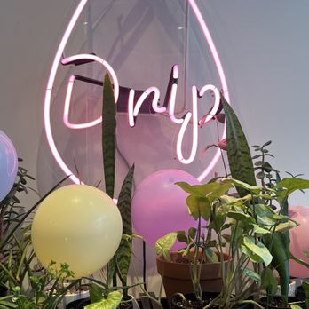The Dripping Root - The image features a neon sign with the word "Enjoy" in pink, mounted on a transparent backing. In front of the sign, there are several potted plants with green leaves and tall, striped foliage. Additionally, there are pastel-colored balloons, including yellow and pink, placed among the plants, creating a decorative arrangement. - Juice Bars & Smoothies Near Me - Minneapolis, Minnesota