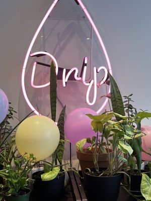 The Dripping Root by null
