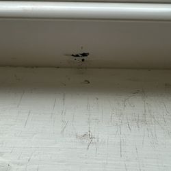 Lowe's Home Improvement - Damaged Windows