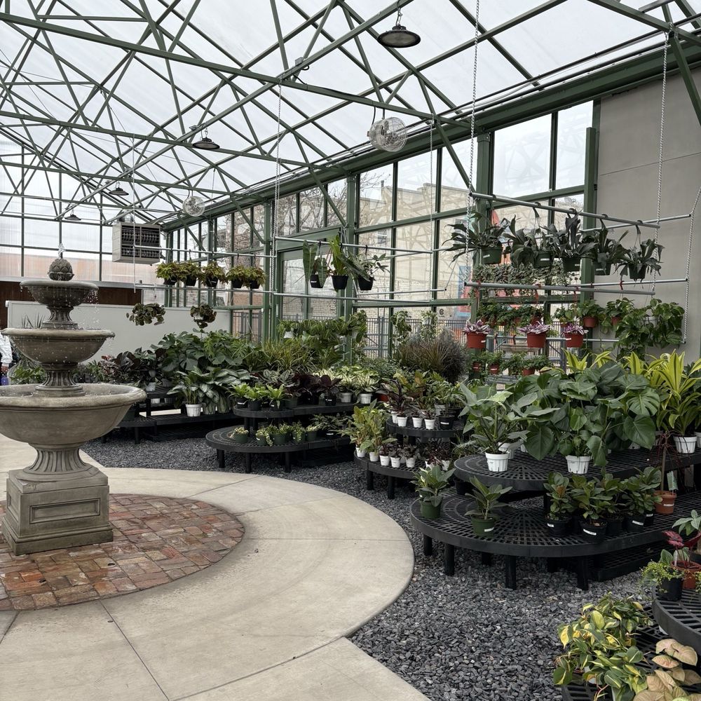 Cactus & Tropicals - Nurseries & Gardening Near Me - Midvale, Utah