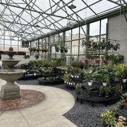 Cactus & Tropicals