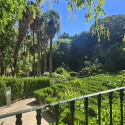 Jardim Botânico da Universidade de Lisboa - Beauty all around
