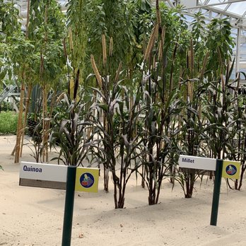 Living With The Land - 07.17.19 quinoa - Amusement Parks Near Me - Orlando, Florida Living With The Land - 07.17.19 quinoa - Amusement Parks Near Me - Orlando, Florida