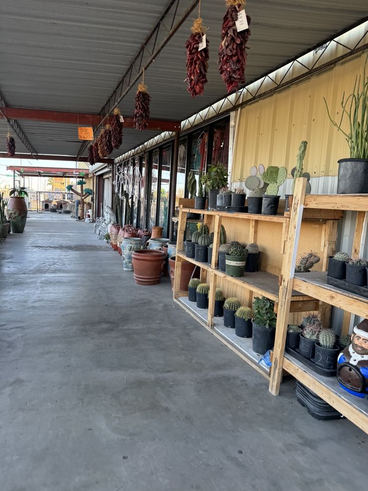 XICALI IMPORTS Updated September 2024 16 Photos 7824 N Loop Dr