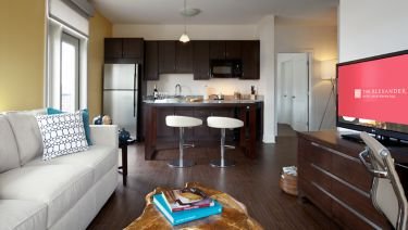 The Alexander by null