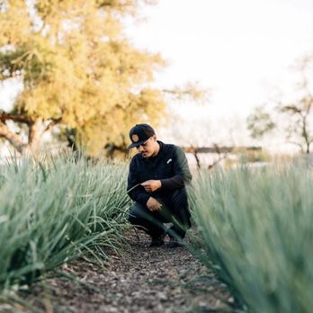 Cultiva - Years of experience in the agriculture industry has trained me to work with plants of all types - Landscaping Near Me Cultiva - Years of experience in the agriculture industry has trained me to work with plants of all types - Landscaping Near Me