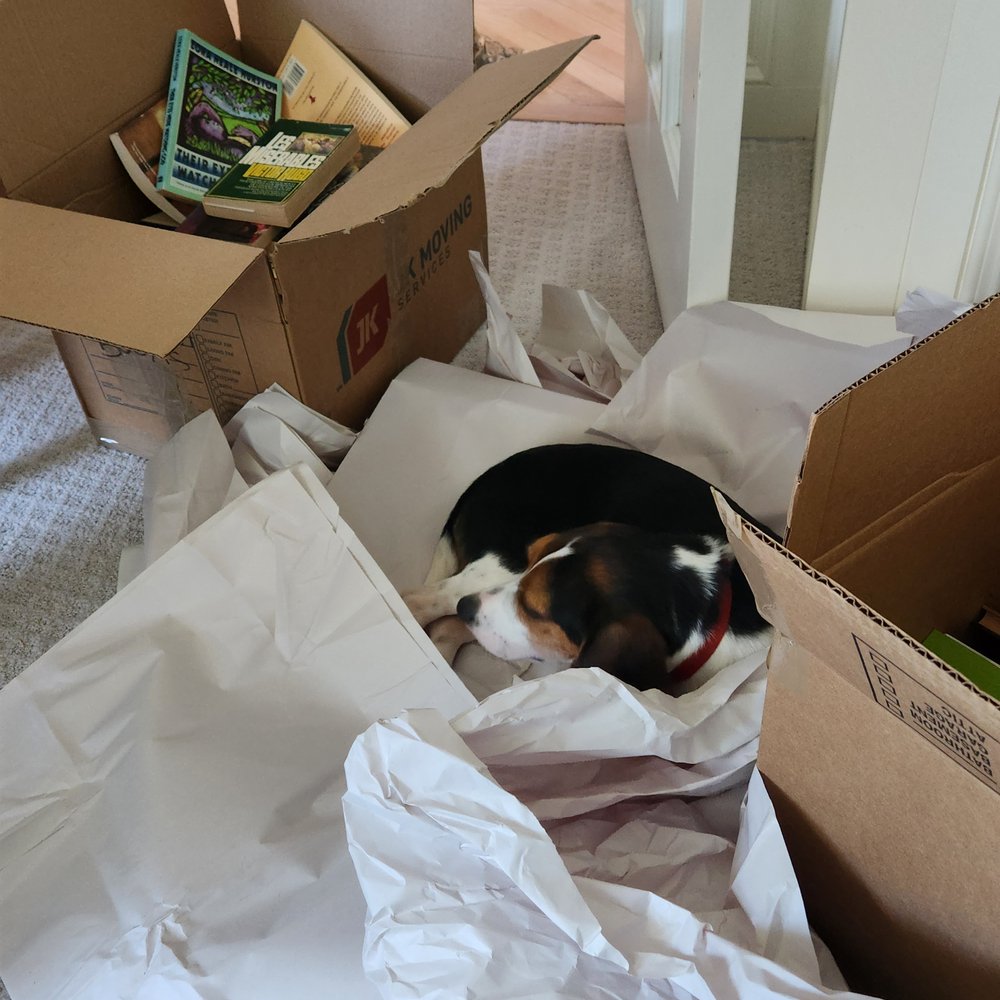 JK Moving Services - Movers Near Me - Sterling, Virginia JK Moving Services - Movers Near Me - Sterling, Virginia