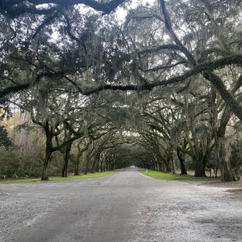 Wormsloe State Historic Site - Landmarks & Historical Buildings Near Me - Savannah, Georgia
