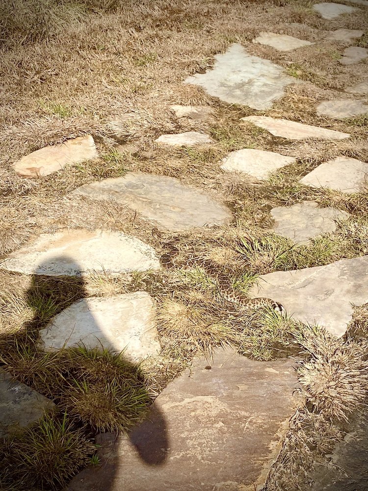 Oso Bay Wetlands Preserve & Learning Center