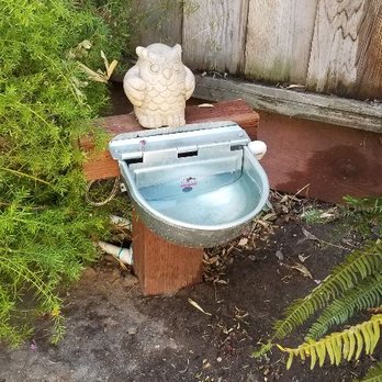 D A Landscape Services - Automatic fill up dog bowl - Tree Services Near Me
