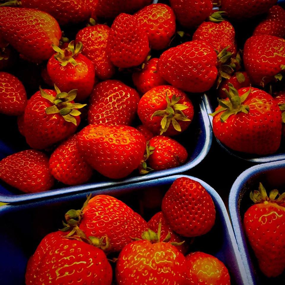 YELLOW BARN COUNTRY PRODUCE Updated September 2024 13 Photos & 10