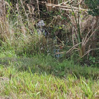 Ritch Grissom Memorial Wetlands - Parks Near Me - Viera, Florida
