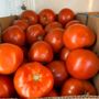 Photo of Persons Farms & Greenhouse