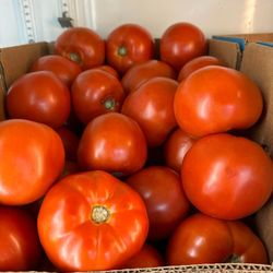 Persons Farms & Greenhouse