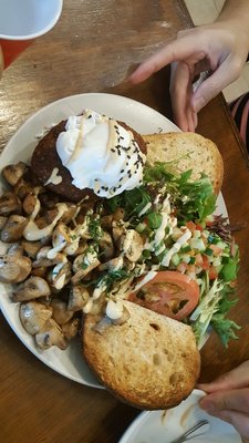 Shenkin Erskineville by null