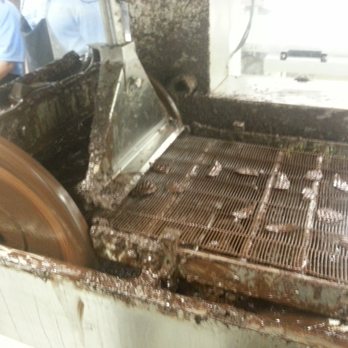 Grimaldi Candies - More chocolate chips. - Chocolatiers & Shops Near Me - Rockledge, Florida