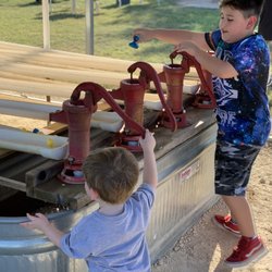Pipe Creek Christmas Tree Farm