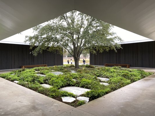 Menil Drawing Institute by null