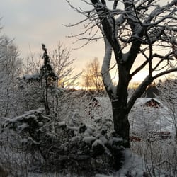 Billingens Fritidsområde