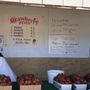 Photo of Strawberry Stand