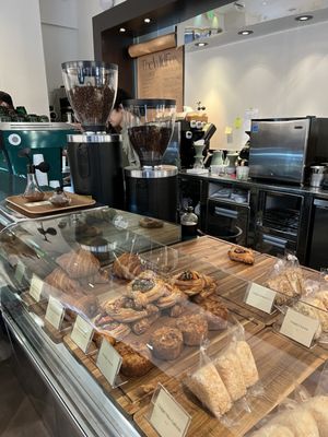 The Wild Fox by null