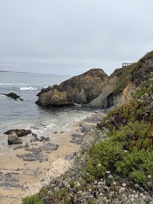 Pigeon Point Light Station State Historic Park by null