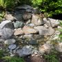 Photo of C & C Irrigation & Lawn