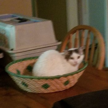 Happy Tails Pet Sitting - Pet Sitting Near Me Happy Tails Pet Sitting - Pet Sitting Near Me