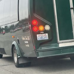 Beeline Tours