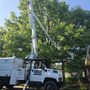 Rafael's Tree Service