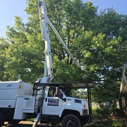 Rafael's Tree Service