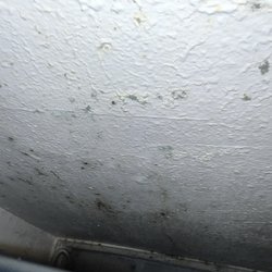 R & E Management - Mold