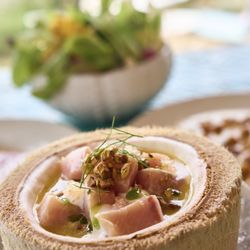 Eddie's - Ceviche (ginger, coconut milk, sesame)