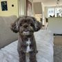 Photo of Treated Groom Spa