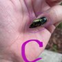 Photo of Top Nails