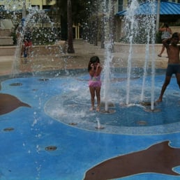 Fun time in the water Fun time in the water