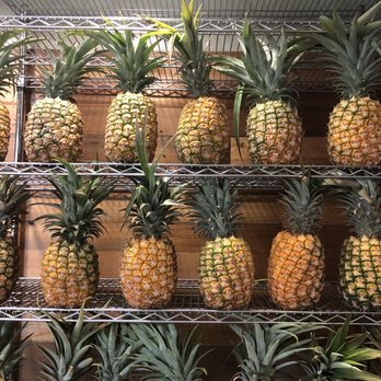 Honolulu Pineapple - Display of pineapples - Juice Bars & Smoothies Near Me - Honolulu, Hawaii Honolulu Pineapple - Display of pineapples - Juice Bars & Smoothies Near Me - Honolulu, Hawaii