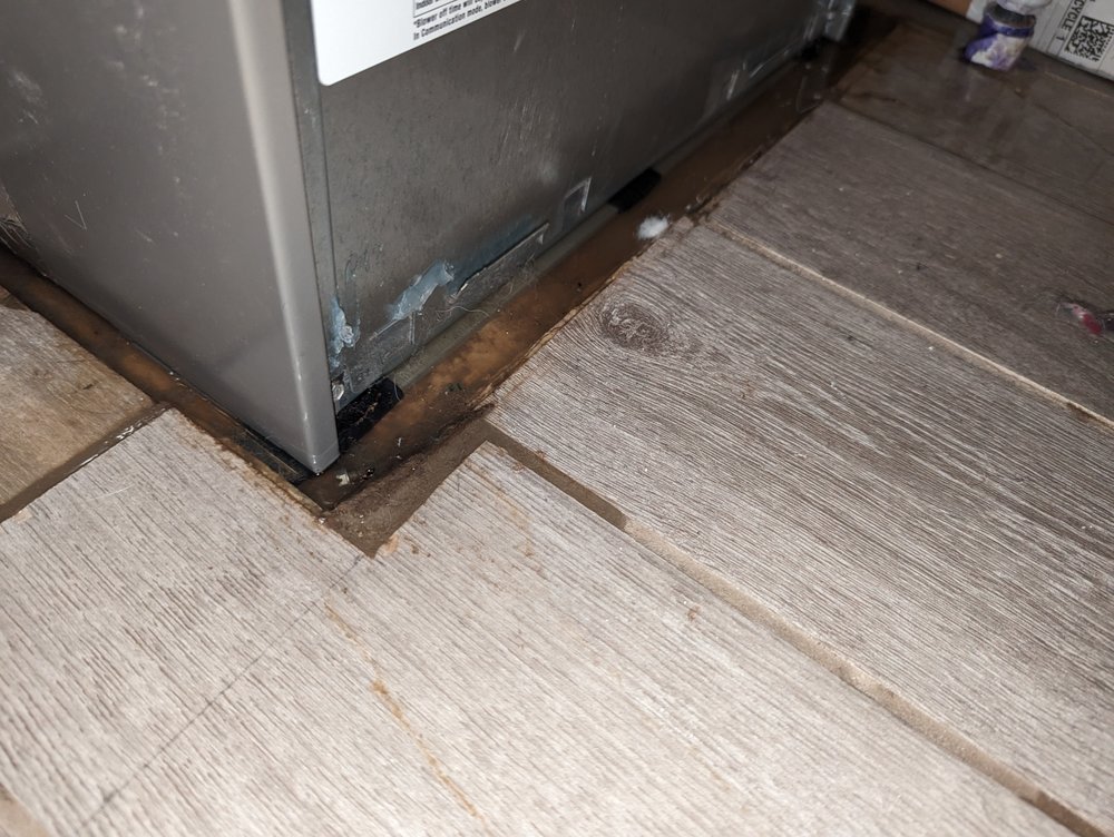 Slide of Roto-Rooter Plumbing & Water Cleanup