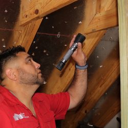 Alamo Home Inspections - Inspecting attic framing and structure.