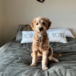 My Sadie Girl