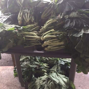 Currie Bros Market - Fresh collards - Fruits & Veggies Near Me - Saint Augustine, Florida Currie Bros Market - Fresh collards - Fruits & Veggies Near Me - Saint Augustine, Florida