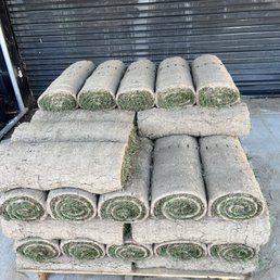 Exterior outside entrance of The Home Depot - Sod - Newark, California Exterior outside entrance of The Home Depot - Sod - Newark, California