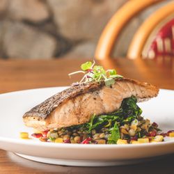 Walnut Hill College - Saumon Poêlé aux Lentilles -  Pan-Roasted Salmon, Braised Green Lentils, Rainbow Chard