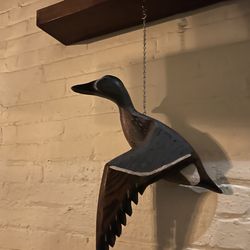 Mallard - Inside duck decor