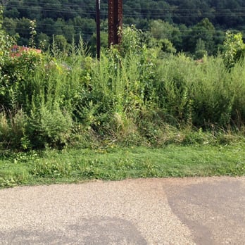 Conshohocken Brewing Company - View of the trail from the bike rack. It's close! - Breweries Near Me - Conshohocken, Pennsylvania