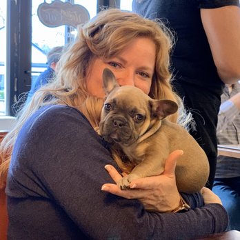 Union Cafe - Bentley! Mascot, or the owner's new French bulldog puppy? woof! - Diners Near Me - Schenectady, New York
