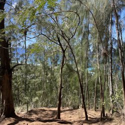 Ehukai Pillbox Hike