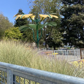 Mia’s Dream Come True Playground - Playgrounds Near Me - Hayward, California Mia’s Dream Come True Playground - Playgrounds Near Me - Hayward, California