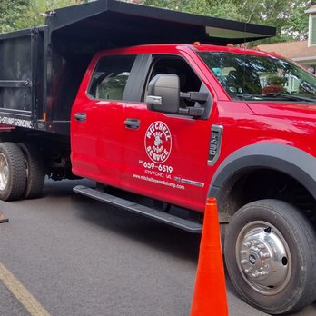 Mitchell Tree & Stump Service - Tree Services Near Me - Fredericksburg, Virginia Mitchell Tree & Stump Service - Tree Services Near Me - Fredericksburg, Virginia